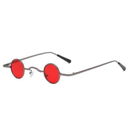Retro literary-style sunglasses with small round frames
