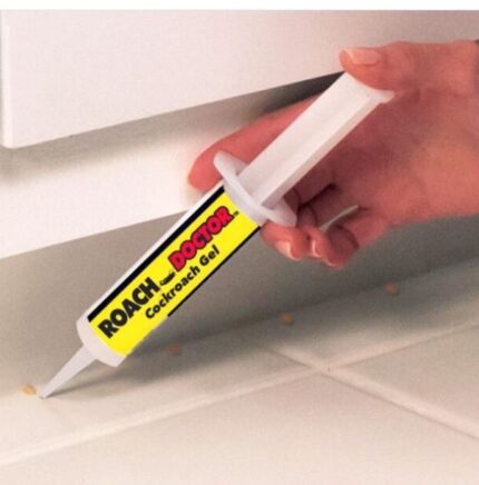 Glue bait syringe for cockroaches