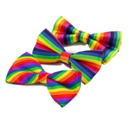 Colorful rainbow-striped bow tie for the groom