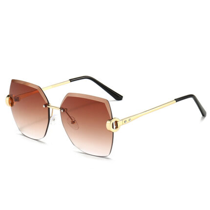 Street clap sunglasses with sun visor